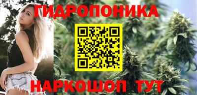 шишки Конаково